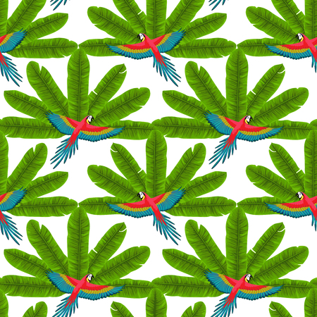 Parrot and Banana Fan Seamless Patternのイラスト素材
