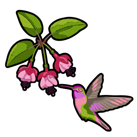 Fuchsia and hummingbird embroidery patchのイラスト素材