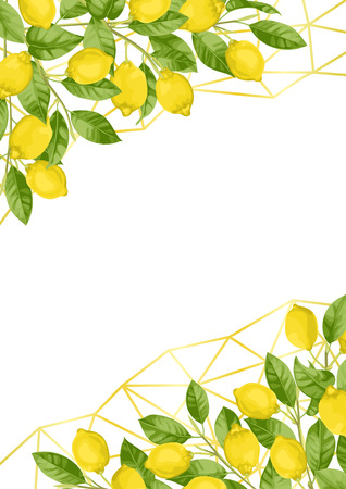 Luxury Lemon Brunches and Herbs Backgroundのイラスト素材