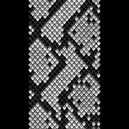 Snake skin black and gray stripe seamless pattern. Animal colorful repeat striped wallpaper for...