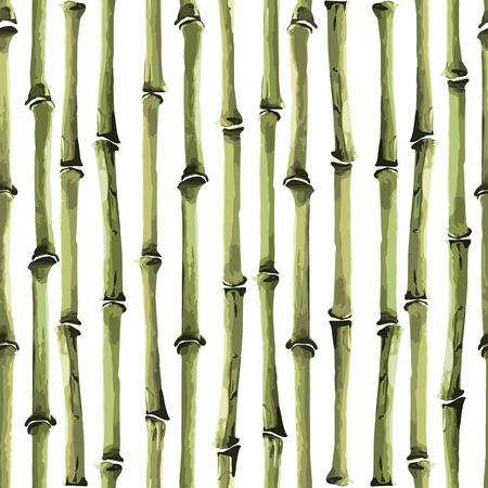 Bamboo Seamless Vertical Pattern on white backgroundのイラスト素材
