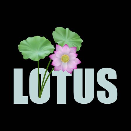 Lotus t-shirt print with pink flower and leaves. on black background. Typography with floral pattern for tshirt and apparel graphics, poster, print, postcard.のイラスト素材