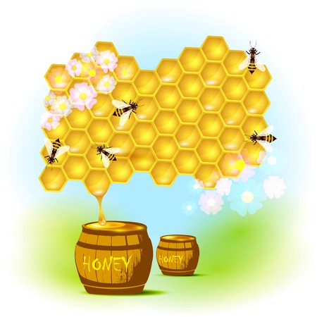 bee and honeycombsのイラスト素材