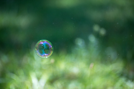 Single floating soap bubble among de-focused green grass an a swarm of tiny insects that are blurs...