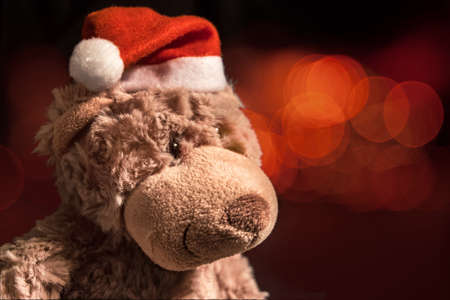 Christmas bear leftの写真素材