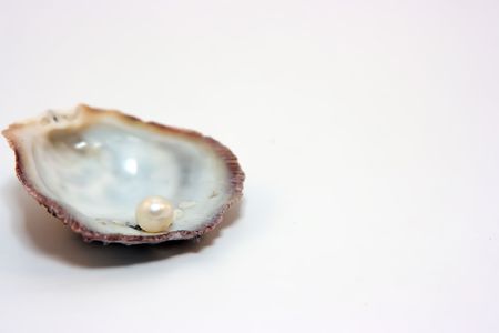 Shell with pearl inside isolated on white backgroundの写真素材