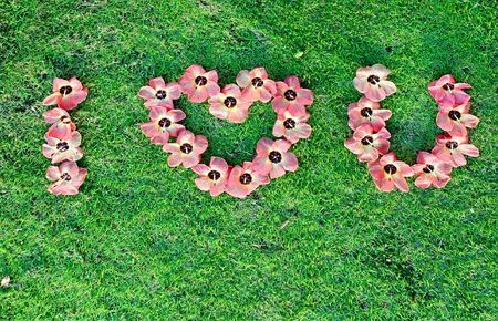 I love you inscription made of flowersの写真素材