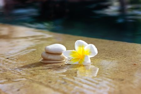 Tropical flower and stones lying on marble floor of hotel spa salonの写真素材