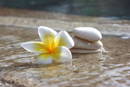 Tropical flower and stones lying on marble floor of hotel spa salonの写真素材