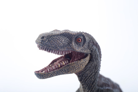 Macro Head shot of a great Velociraptor dinosaurs toy with open mouth in attack position on white backgroundの写真素材