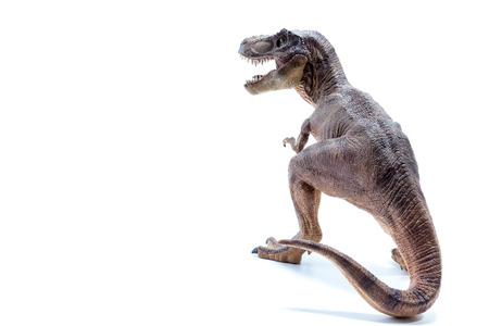 Brown Dinosaur Tyrannosaurus Rex side view - white backgroundの写真素材