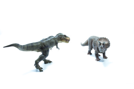 Dinosaur Tyrannosaurus Rex stares a Triceratops and is ready to attackの写真素材