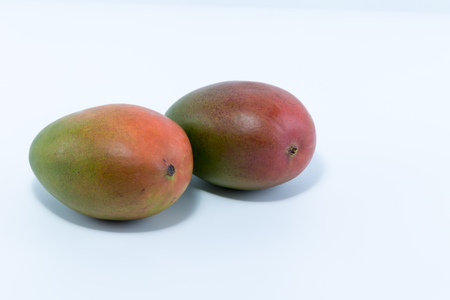 Two fresh mangoes isolated on white backgroundの写真素材