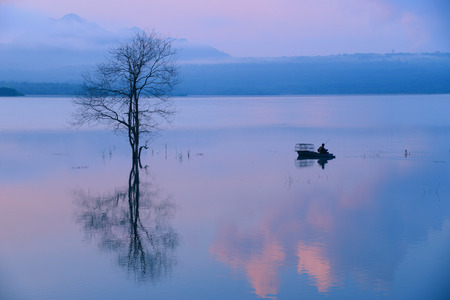 The reflectionの写真素材