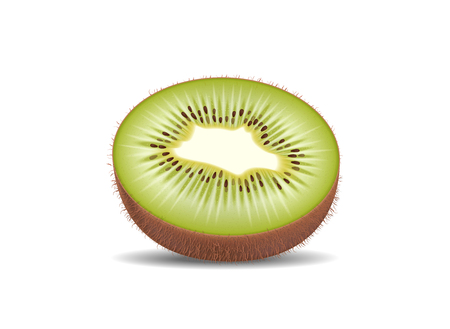 Kiwi fruit cut in half slices. High quality natural eco organic ecological fruit for juice, yogurt, pudding, shake, cream, sour milk packaging. Realistic detailed vector. Isolated on white backgroundのイラスト素材