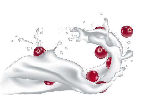 Milk splash wave with falling tumble cranberries for packaging design. Yogurt, pudding, smoothie or milk. Dairy 3d realistic splash with berries ads, product promotion package template vector.のイラスト素材
