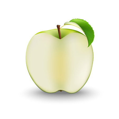 Vector Realistic Green Apple Cut in Half.のイラスト素材