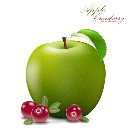 Fresh apple and cranberry design elements isolated on white background. Berries set with leaves. Apple fruit for fresh juice for packaging or web. 3d illustration vector EPS 10.のイラスト素材