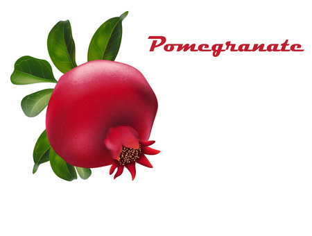 Pomegranate Fruit For Fresh Juice. 3d Realistic Red Ripe Pomegranate Isolated On White Background For Print  Packaging Or Web Design. Vector Illustration Eps 10.のイラスト素材