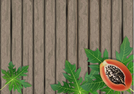 Papaya leaves on wooden background. Exotic leaf banner on wood. Vector illustration.のイラスト素材