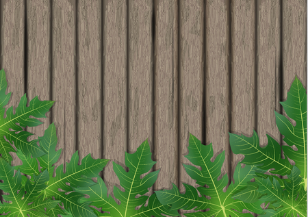 Papaya leaves on wooden background. Exotic leaf banner on wood. Vector illustration.のイラスト素材