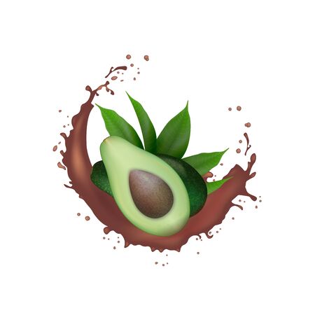Realistic Fresh Green avocado fruit cacao splash.  Avocado Half with leaves in swirl motion splashing. Organic product package design. Vector illustration.のイラスト素材