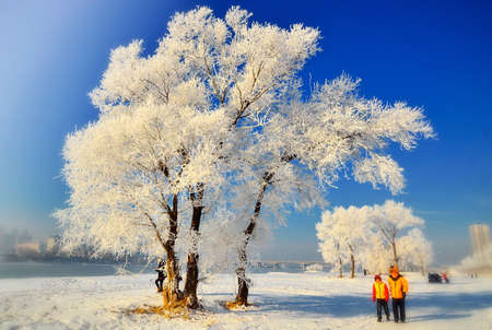 Jilin rimeのeditorial素材