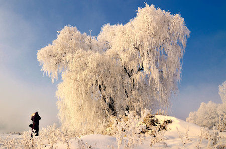 Jilin rimeの写真素材