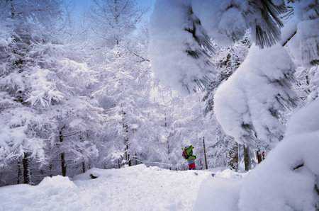 Changbai snow Mountainsの写真素材