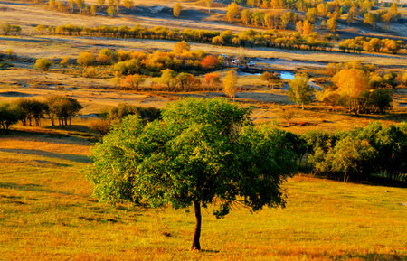 Bashang grasslandの写真素材