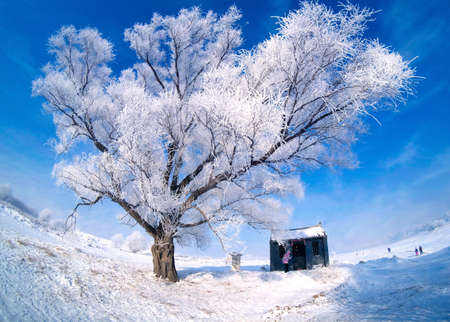 China, winter rime on Jilin Rime Island.のeditorial素材