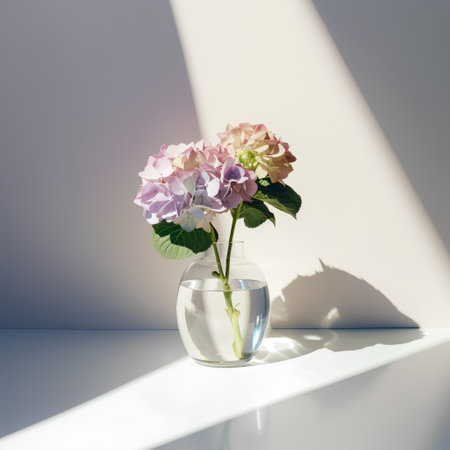 Beautiful hydrangea flowers in vase on light background. Minimal style.の素材