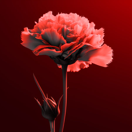 Carnation flower on a red background. 3d illustration.の素材