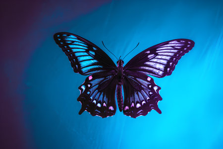 Beautiful butterfly on a blue background. 3d render illustration.の素材