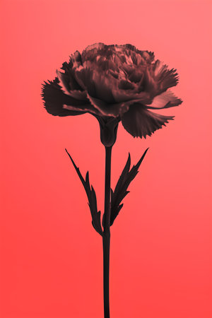 Carnation flower isolated on red background. 3d illustration.の素材