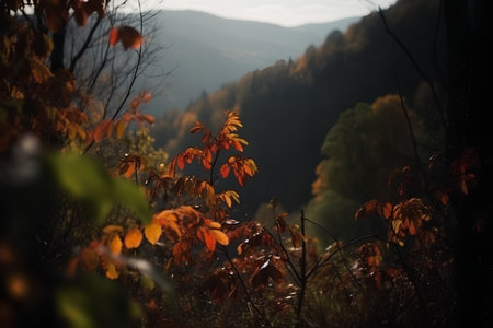 Autumn landscape in the mountains. Beautiful forest in the fall.の素材