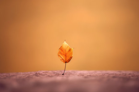 Autumn leaf on wooden background. Autumn concept. 3d renderingの素材