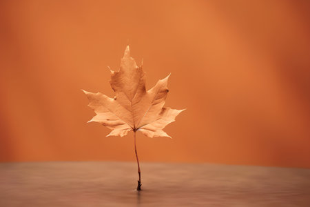 Autumn maple leaf on orange background. 3d render. Autumn concept.の素材