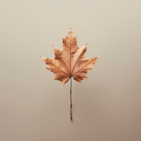 Autumn maple leaf isolated on beige background. 3d renderの素材