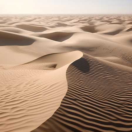 Sand dunes in the desert of Dubai, United Arab Emirates.の素材