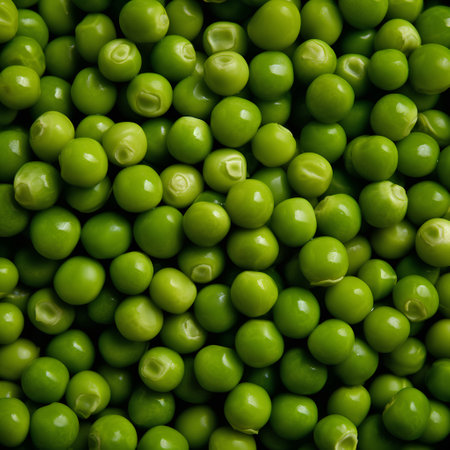 Green peas background. Top view, flat lay. Close up.の素材