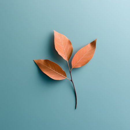 Creative layout made of autumn leaves on blue background. Flat lay, top view minimal autumn concept.の素材