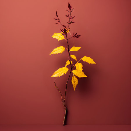 Autumn leaves on a red background. Minimal style. 3d renderの素材