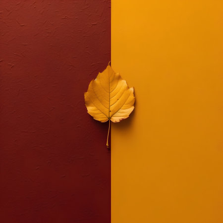 Autumn leaf on orange and red background. Minimal concept.の素材