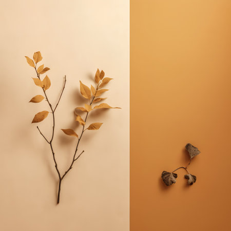Creative layout made of autumn leaves. Flat lay, top view minimal autumn concept.の素材