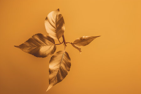 Autumn composition. Autumn leaves on orange background. Flat lay, top view, copy spaceの素材