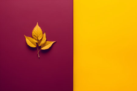 Autumn composition. Yellow autumn leaf on color background. Flat lay, top view, copy spaceの素材