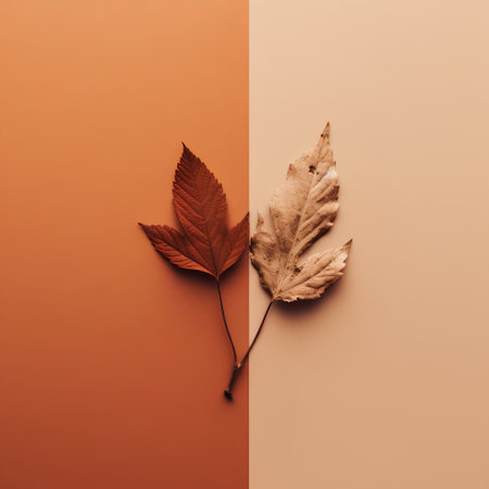 Creative layout made of autumn leaves. Flat lay, top view minimal autumn concept.の素材