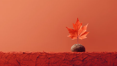 Autumn maple leaf in a coconut on a red background. Minimal conceptの素材