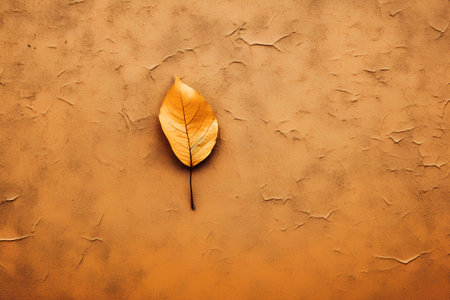 Yellow autumn leaf on grunge background with copy space for text or imageの素材